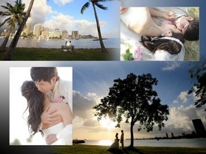 感想・おすすめ:523