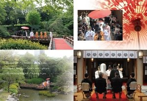感想・おすすめ:87